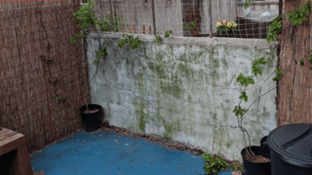 Transforming Patios: How DIY Solutions Save Outdoor Spaces