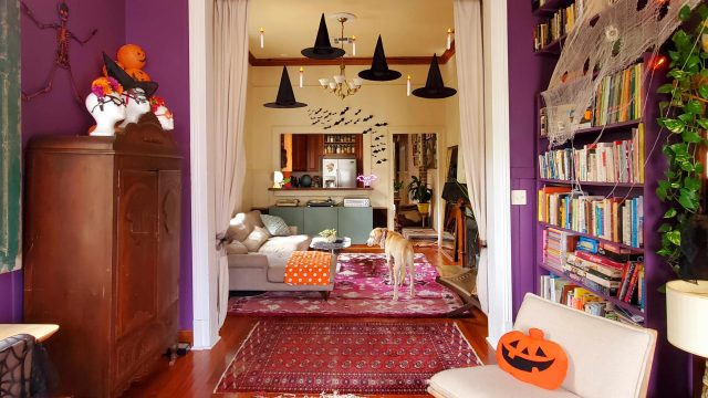 Embrace the Whimsy: Must-Have Summerween Decorations
