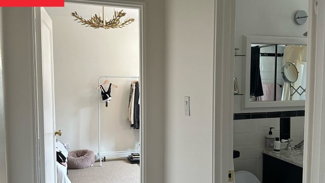 Transforming Small Spaces: A Bold Color Choice for Hallways