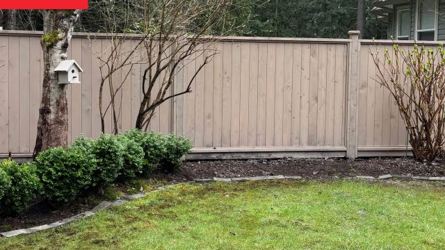 Transforming Your Backyard: Create a Dream Gardening Space