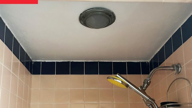 Transforming Your Shower Space with a Celestial Mural Inspiration
