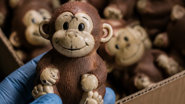 Michigan Issues Urgent Recall for 'Monkee' Squeeze Toys Over Asbestos Risks